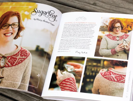 The Rhinebeck Sweater, image 4