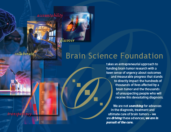 Brain Science Foundation, developement brochure