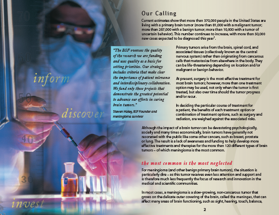 Brain Science Foundation, developement brochure